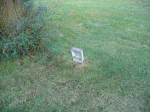A solitary grave underneath a tree.