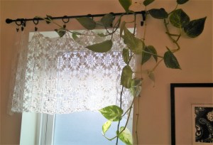 IMG_20160722_091102_322