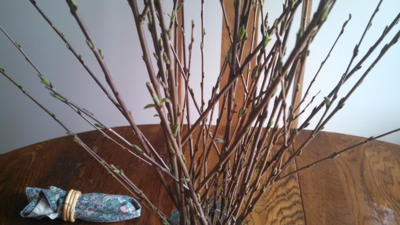 IMG_20170311_091259_217