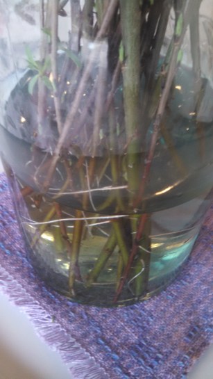 IMG_20170322_180212_097